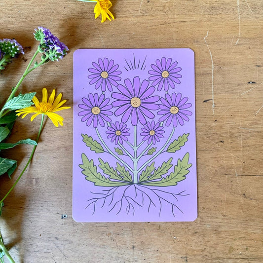 Wild daisy in lilac bohemian botanical postcard