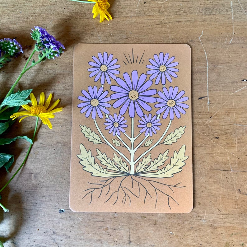 Wild daisy in ochre bohemian botanical postcard