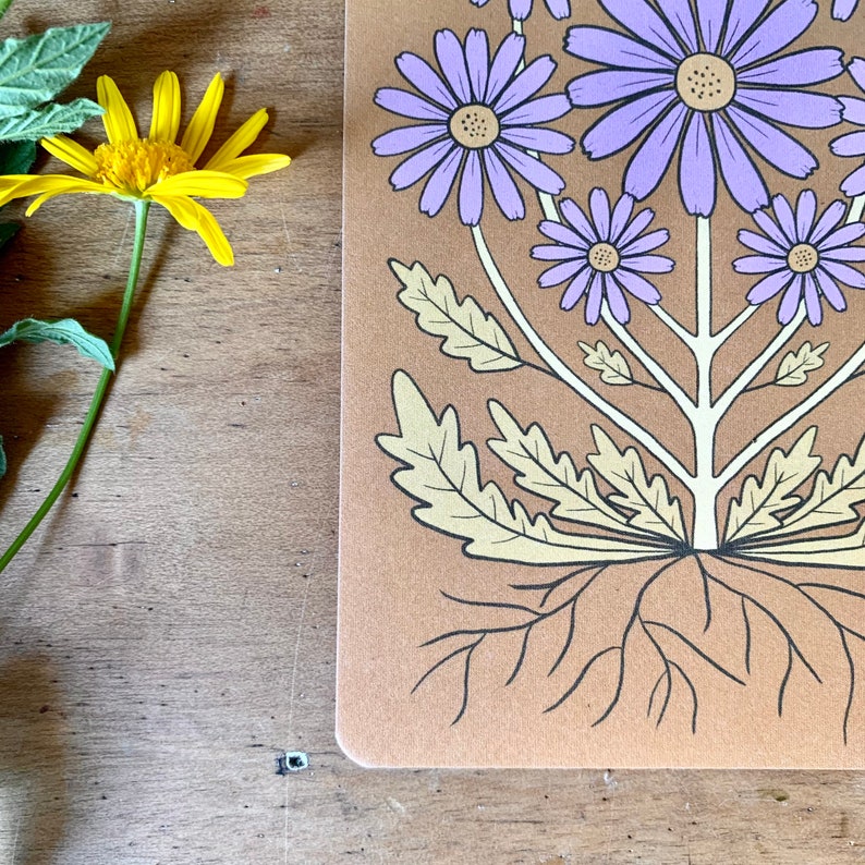 Wild daisy in ochre bohemian botanical postcard