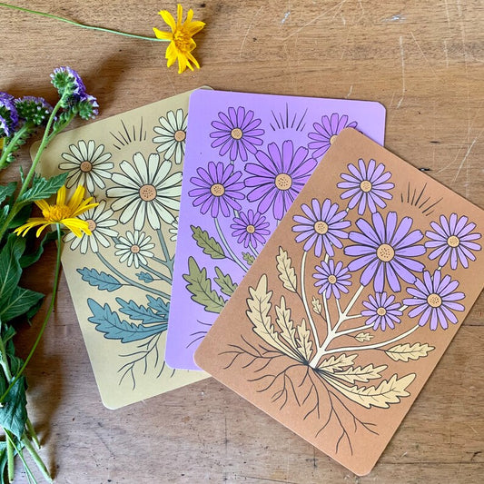 Set of 3 wild daisy earthy toned bohemian postcards
