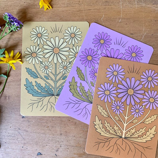 Set of 3 wild daisy earthy toned bohemian postcards